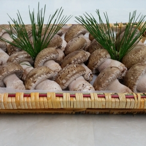 송이향이 가득하고 쫄깃쫄깃한 고기식감이 일품인 명품버섯